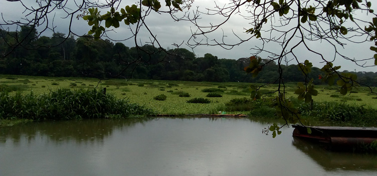 #ParaTodosVerem: Fotografia mostra o Reservatório Bolonha. Na parte inferior da imagem, está a água captada. Na parte superior, uma vegetação e o céu nublado completam a foto.