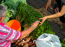 #ParaTodosLerem: Fotografia de duas pessoas negociando produtos agrícolas. Em primeiro plano, um homem de cabelos grisalhos, com camisa de listras e estampas nas cores rosa, branca e preta, entrega uma nota de dinheiro a uma mulher de unhas pintadas com esmalte vermelho. Ela veste roupa preta e colete verde. Apenas o seu tronco está enquadrado na imagem. A foto mostra ainda maços de cheiro-verde e couve expostos. 