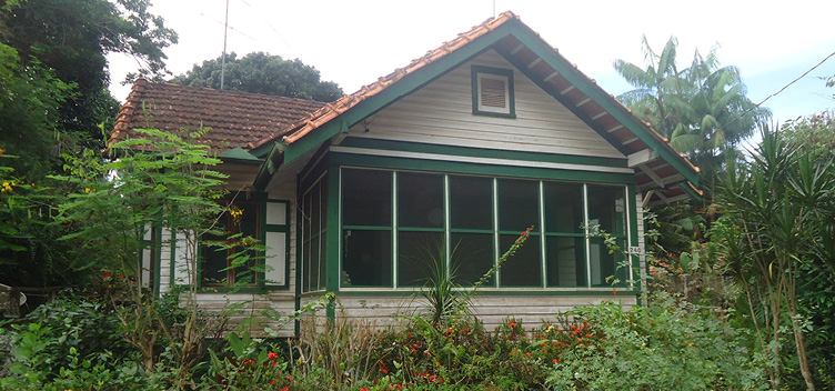 A foto acima mostra a arquitetura residencial em madeira, comum na vila criada pela Companhia Ford em Belterra, Santarém (PA). Na página ao lado, a caixa d’água de ferro instalada pela mesma companhia, em Fordlândia. #ParaTodosLerem: Fotografia mostra uma casa de madeira, em estilo americano, nas cores branca e verde. Ao redor, jardim com diversas espécies de plantas e flores.
