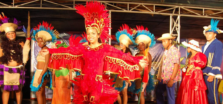 #ParaTodosLerem: A fotografia mostra a apresentação de um cordão junino. No primeiro plano, no centro da imagem, uma mulher sorrindo, com os braços abertos, olha em nossa direção. Ela está descalça, veste um traje de pássaro na cor vermelha, com detalhes dourados, e usa um acessório vermelho na cabeça. No segundo plano, pessoas usam figurino de outros personagens do espetáculo.