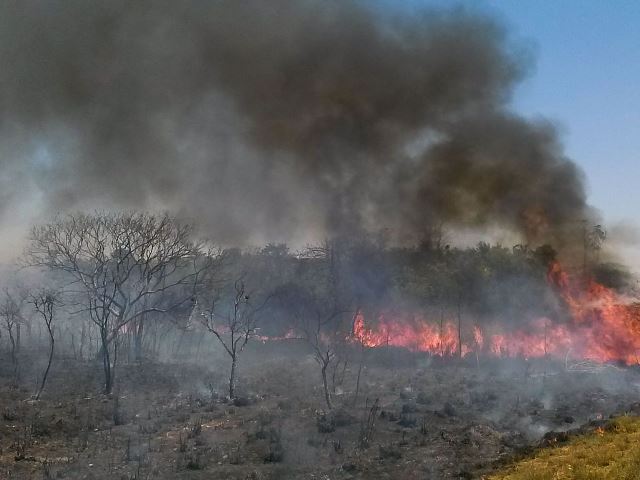 O ar é insuportável”: Os impactos das queimadas associadas ao desmatamento  da Amazônia brasileira na saúde