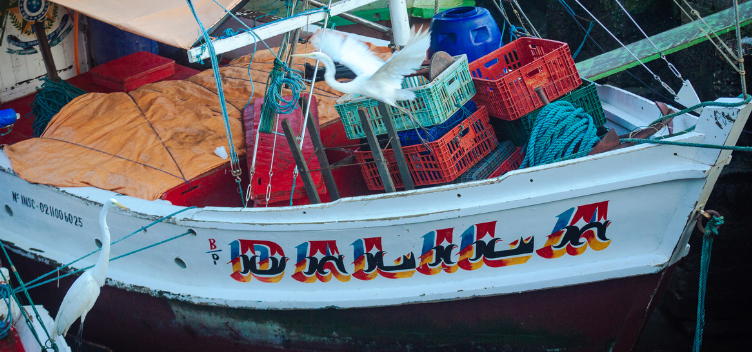 #ParaTodosVerem: Fotografia mostra a lateral branca de um barco com o casco pintado de preto. Nessa lateral, o nome “Dalila” está pintado nas cores vermelha e preta, com a sombra em azul e laranja. Dentro do barco, há engradados vermelhos. Uma garça aparece voando no centro na imagem.