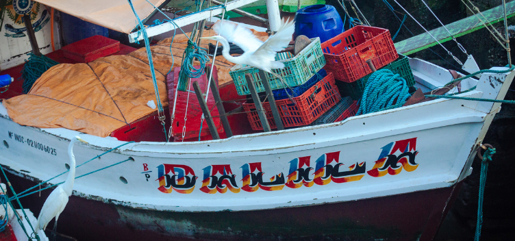 #ParaTodosVerem: Fotografia mostra a lateral branca de um barco com o casco pintado de preto. Nessa lateral, o nome “Dalila” está pintado nas cores vermelha e preta, com a sombra em azul e laranja. Dentro do barco, há engradados vermelhos. Uma garça aparece voando no centro na imagem.  